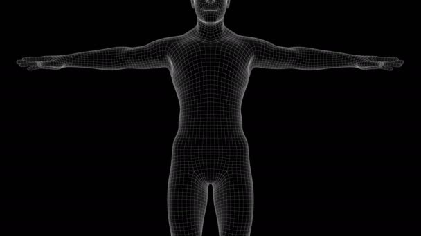 Animation Man Xray Hologram — Stock Video