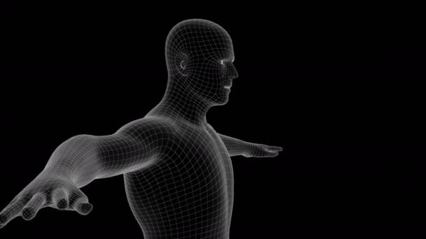 Animation Man Xray Hologram — Stock Video