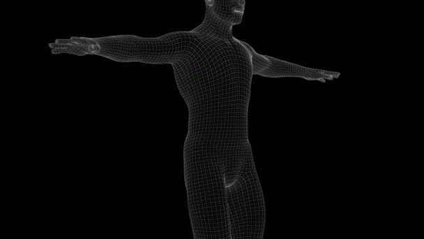 Animation Man Xray Hologram — Stock Video