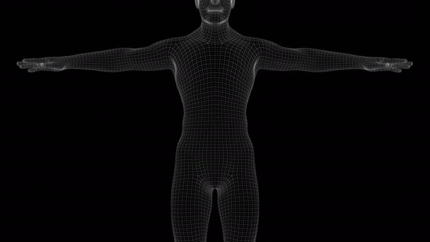Анімація Чоловіка Рентгенівської Голограми — стокове відео