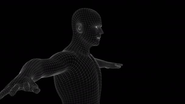 Animation Man Xray Hologram — Stock Video