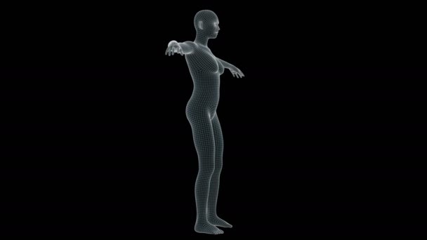 Animation Einer Frau Mit Röntgenhologramm — Stockvideo