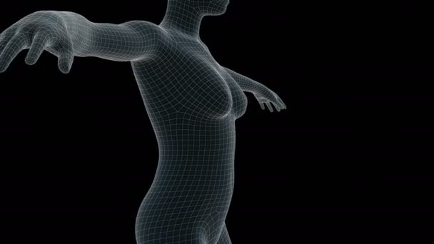 Animation Woman Xray Hologram — Stock Video