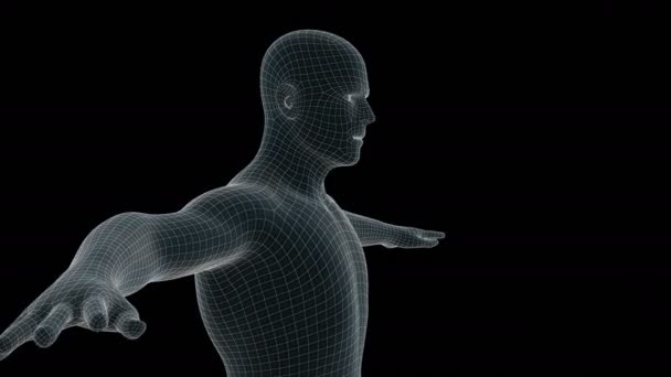 Animation Hologramme Rayons Homme — Video