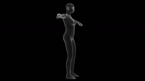 Animering Kvinna Xray Hologram — Stockvideo