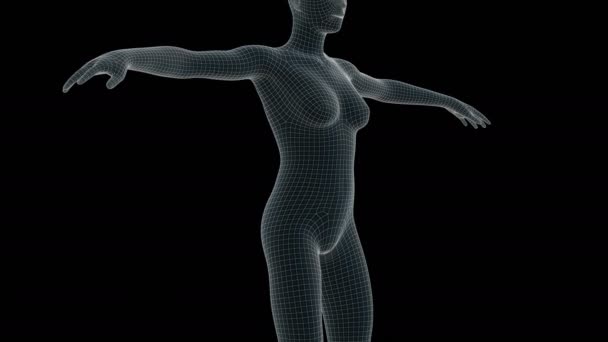 Animação Uma Mulher Xray Holograma — Vídeo de Stock