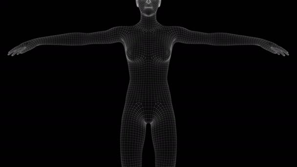 Анимация Женской Голограммы Xray — стоковое видео