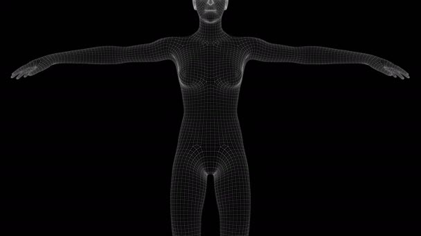 Animação Uma Mulher Xray Holograma — Vídeo de Stock