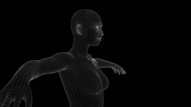 Animation Woman Xray Hologram — Stock Video