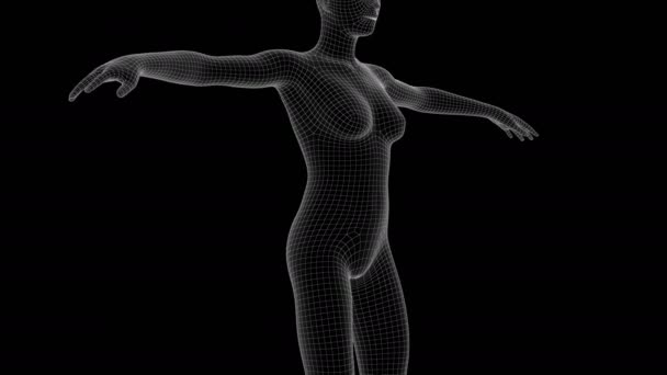Animatie Van Een Vrouw Xray Hologram — Stockvideo
