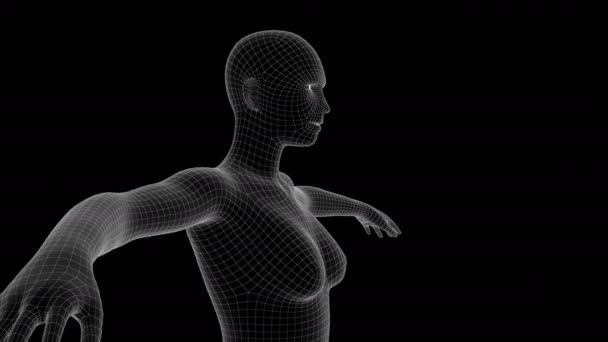 Animacja Hologramu Xray Kobieta — Wideo stockowe
