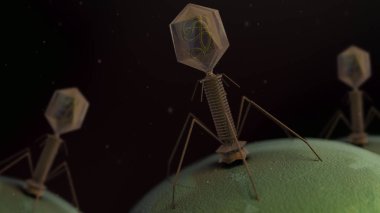 3D illustration of a T4 virus clipart