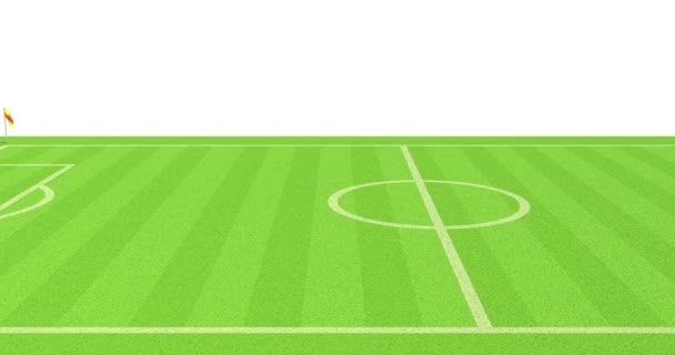 アルファのサッカー場の アニメーション — ストック動画
