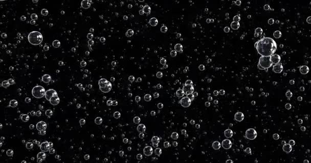 Animación Burbujas Movimiento Flotando Sobre Fondo Negro — Vídeos de Stock