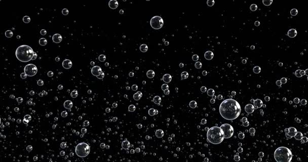 Animace Bublin Pohybujících Plovoucích Černém Pozadí — Stock video