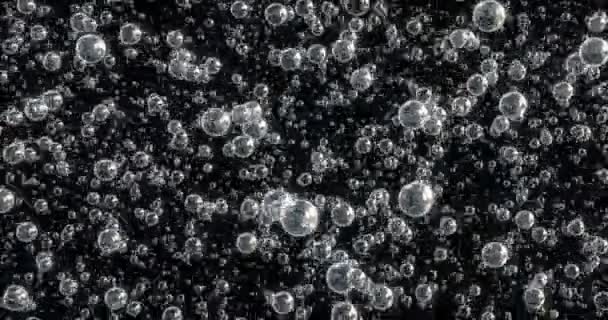 Animation Bubbles Moving Floating Black Background — Stock Video