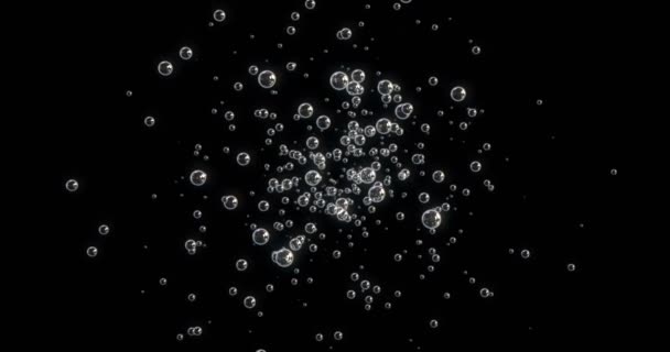 Animación Burbujas Movimiento Flotando Sobre Fondo Negro — Vídeos de Stock