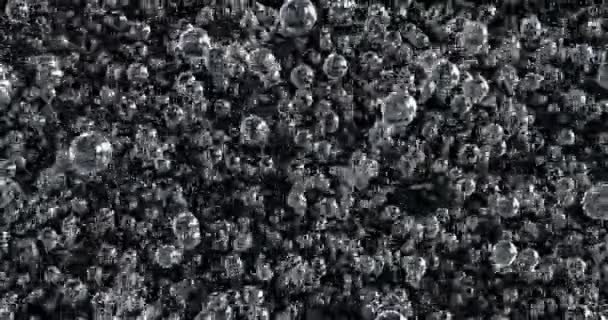 Анімація Бульбашок Рухаються Плавають Чорному Тлі — стокове відео