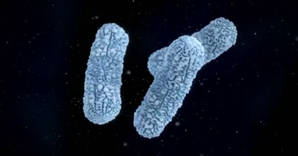 Animación Una Bacteria Burkholderia Cepacia — Vídeos de Stock