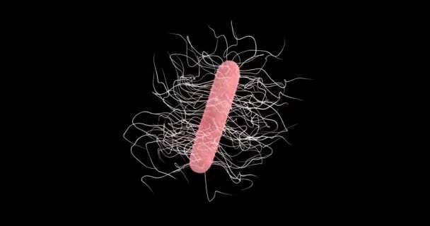 Animación Una Bacteria Clostridium Difficile — Vídeo de stock