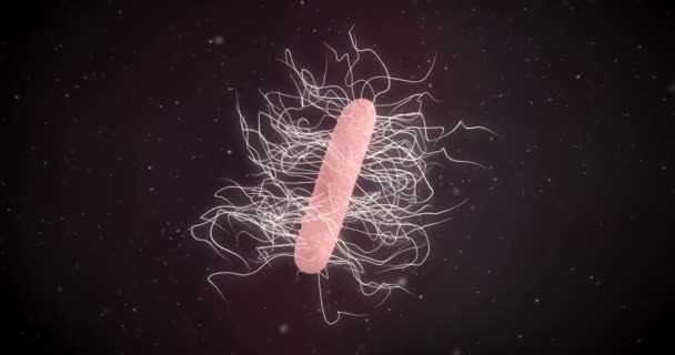 一株梭菌细菌的动画 — 图库视频影像