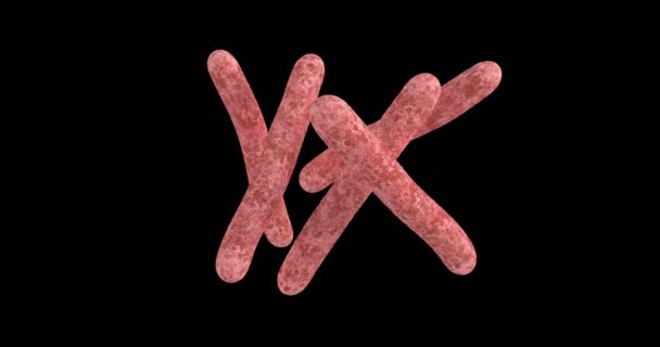 Animatie Van Een Bacterie Mycobacterium Tuberculosis — Stockvideo