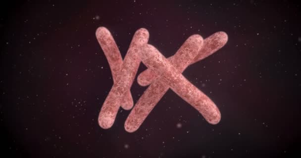 Animation Eines Mycobacterium Tuberculosis Bakteriums — Stockvideo