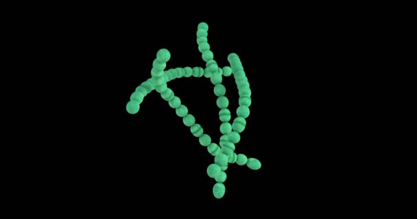Animation Eines Streptococcus Pyogenes Bakteriums — Stockvideo