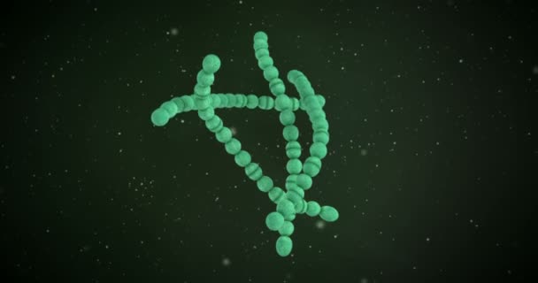 Анимация Бактерий Стрептококка — стоковое видео