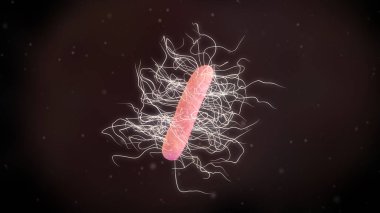 3d  illustration of a Clostridium Difficile Bacteria clipart