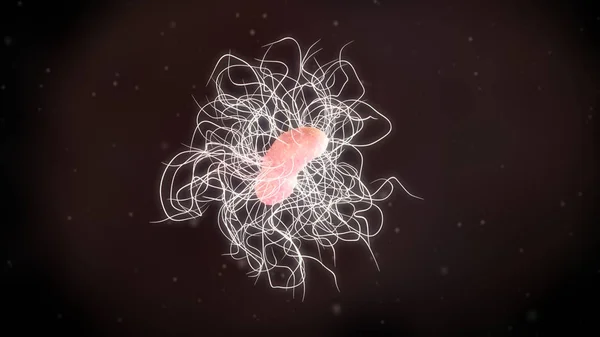 Illustration Eines Clostridium Difficile Bakteriums — Stockfoto