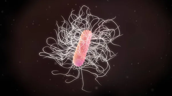 Afbeelding Van Een Bacterie Clostridium Difficile — Stockfoto