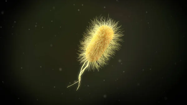 Illustration Escherichia Coli Bacteria — Stock Photo, Image