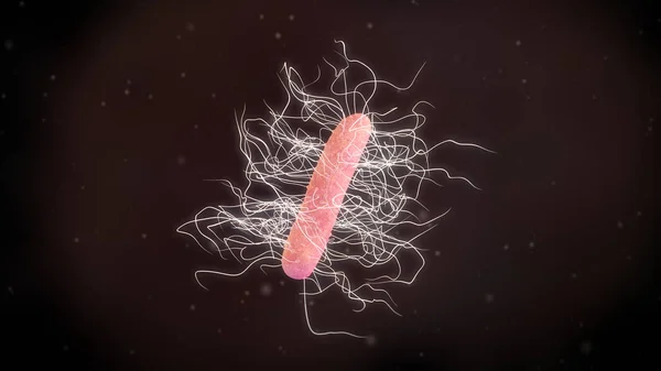 Illustration Clostridium Difficile Bacteria — Stock Photo, Image