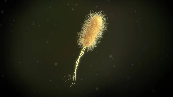 Illustratie Van Een Escherichia Coli Bacteriën — Stockfoto