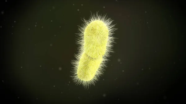 Illustration Einer Klebsiella Pneumoniae Bakterie — Stockfoto
