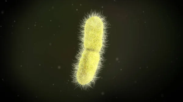 Illustratie Van Een Klebsiella Pneumoniae Bacteriën — Stockfoto