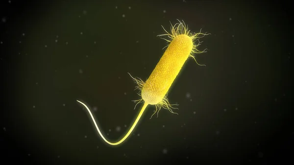 Afbeelding Van Een Bacterie Pseudomonas Aeruginosa — Stockfoto