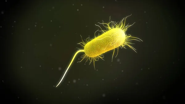 Afbeelding Van Een Bacterie Pseudomonas Aeruginosa — Stockfoto