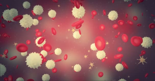 Animation Sang Avec Globules Rouges Plaquettes — Video