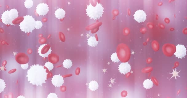 血红细胞白细胞和血小板的动画 — 图库视频影像