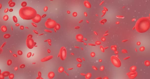 Animation Red Blood Cell — Stock Video