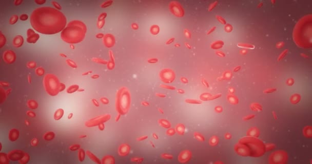 Animation Red Blood Cell — Stock Video