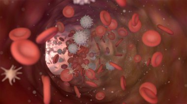 bir kan kırmızı hücre akyuvar ve trombosit ile 3D çizimi