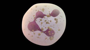 3D illustration of white blood cell neutrophil clipart