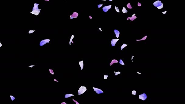 Animáció Egy Virág Szirmok Áramlás Alfa Réteg — Stock videók