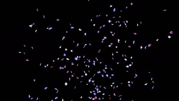 Анімація Пелюсток Квітки Тече Альфа Шаром — стокове відео