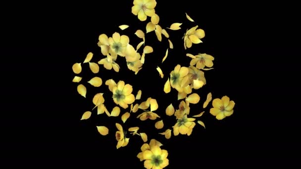 Анимация Потока Лепестков Цветов Альфа Слоем — стоковое видео