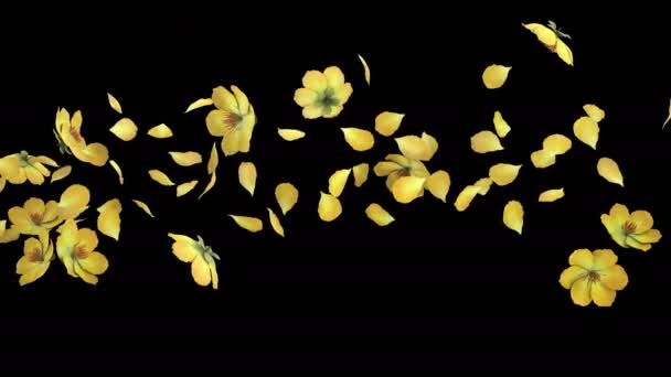 Animación Flujo Pétalos Flor Con Capa Alfa — Vídeo de stock