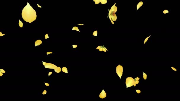 Анімація Пелюсток Квітки Тече Альфа Шаром — стокове відео